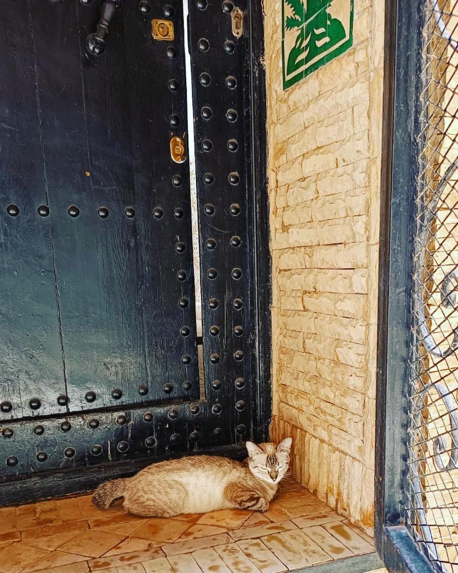 Riad Hugo Марракеш Екстер'єр фото